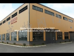 15years製造より科学的で、technologic valvesmoreであるWeite弁